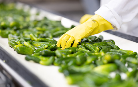 Österreichische Essiggurkerlvielfalt bei efko – Jetzt neu: Gurken Stixx