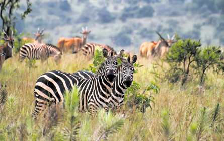 Die Top-Destinationen für 2024 stehen fest