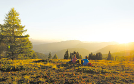 Green Claims im Tourismus