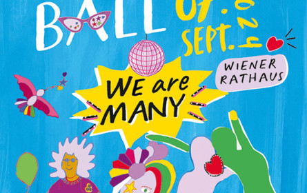 Diversity Ball Nummer 16