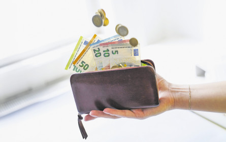 Nur Bares ist Wahres in der Alpenrepublik