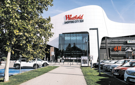 713 Mietverträge in 21 Standorten