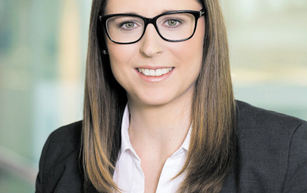 Robustes Jahresergebnis