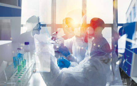 Österreich ist sehr gefragt