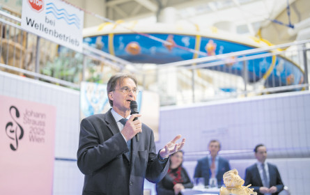 Wien in Strauß und Braus