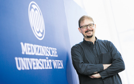 Infektionen im Blick