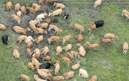 Flexible Klimaretter