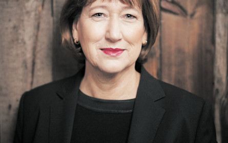 Warnung vor Strafzöllen auf E-Autos