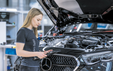 Pkw-Minus und Van-Plus