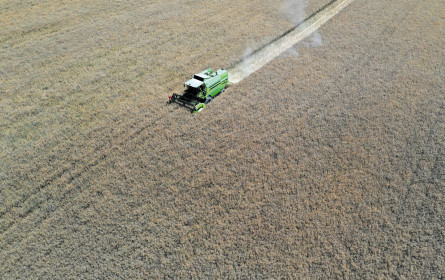 Langsamen Schrittes in ruhigere Gewässer