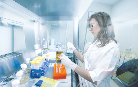 Diabetes bleibt Motor