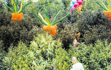 Die Promotions boomen wieder