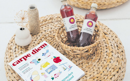 Zwei Auftritte und ein einheitliches Logo