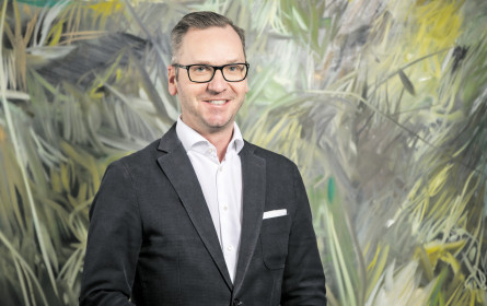 Wiener Zinshausmarkt