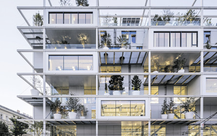 Nicht nur der Smårteste