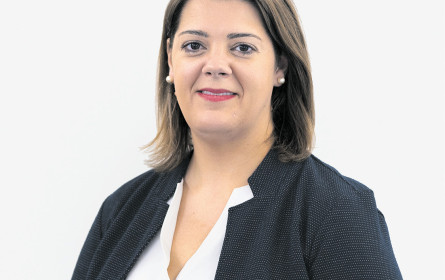 Brandlberger steigt auf