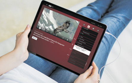 Das rot-weiß-rote Team hinter ORF On