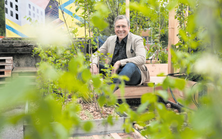 Klimawandel? So geht Staud’s Wien damit um