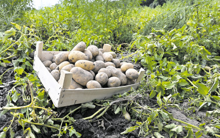 Die Preisschere geht auseinander
