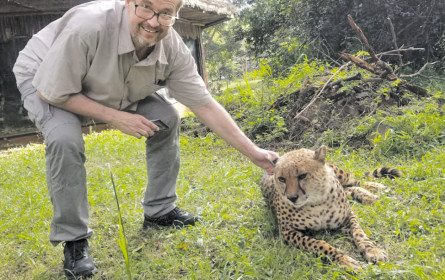 „Daktari”-Feeling in Kenia pur erleben