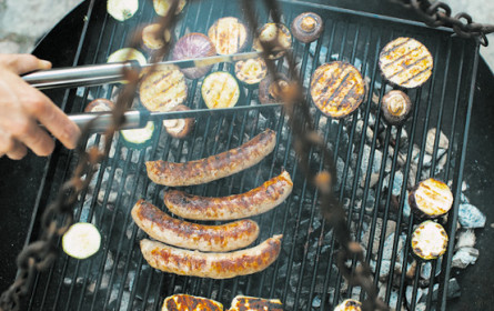 Pizzaöfen und Griller auch gebraucht beliebt