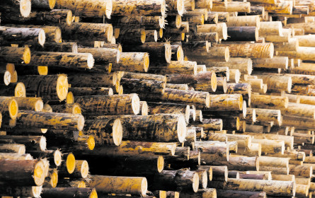 Weniger Bürokratie, mehr Sinnstiftendes