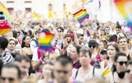 Der Fleck am Regenbogen