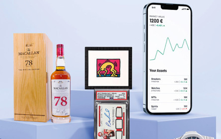 Sneaker, Uhren, Whisky oder Kunstwerke