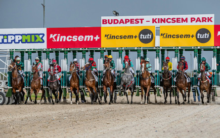 Tradition trifft Glamour