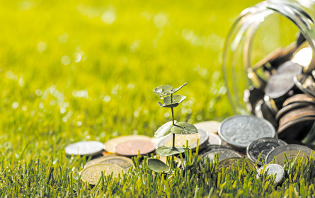 Finanzler haben jetzt die Natur in ihrem Fokus