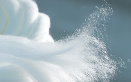 Zellulose-Zellstoff-Partner