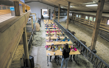 Nachhaltige Produktion: Früh übt sich