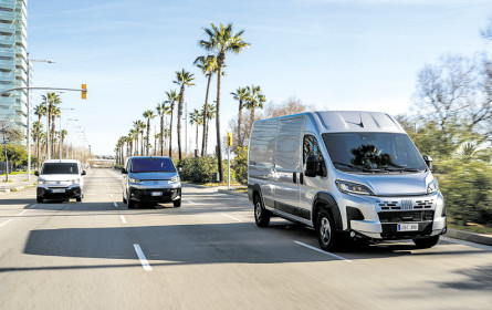 Stellantis ist wieder Nutz-Marktführer