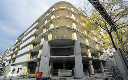 Georg Stumpf erwarb „Lamarr&rdquo;