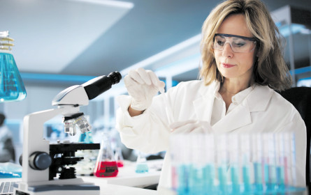 Positive Rückmeldungen für Bewertungsboard