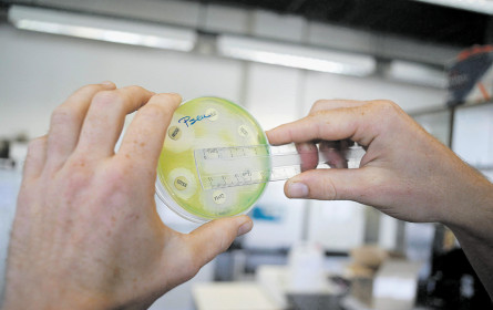 Kritik an EU-Pharma-Gesetz