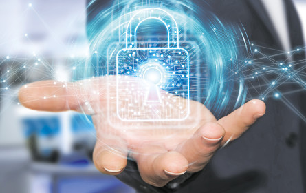 Cybersafety auf der Agenda ganz oben