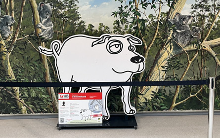 Ein Schweinehund im Zoo: Neujahrskampagne der VHS