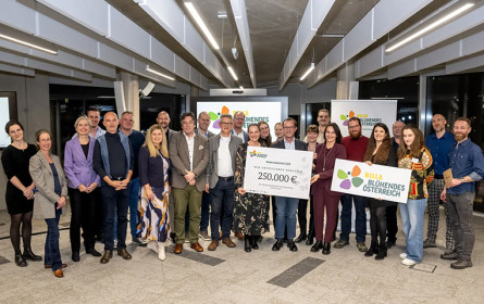 Kofinanzierung in der Höhe von 17.500 Euro