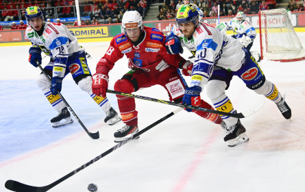 Red Bull Media House berät Eishockey-Liga