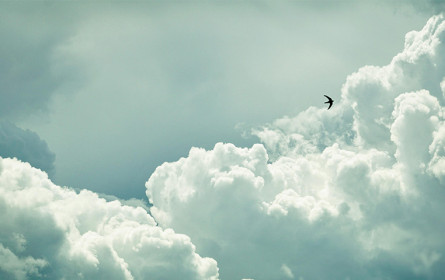 „Eine Schwalbe macht noch keinen Sommer“