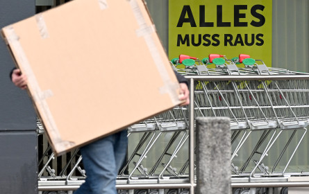 Zahl der Neugründungen nehmen zu