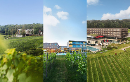 Erfolgskurs: Limestone Capital übernimmt Mehrheitsanteile der Loisium Wine & Spa Hotels