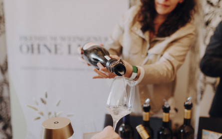 Das war die erste Ausgabe der VieVinum Future Academy