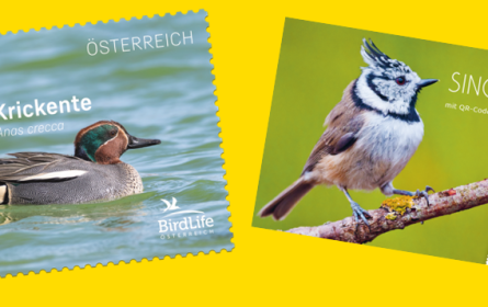 Post zwitschert auf Briefmarken