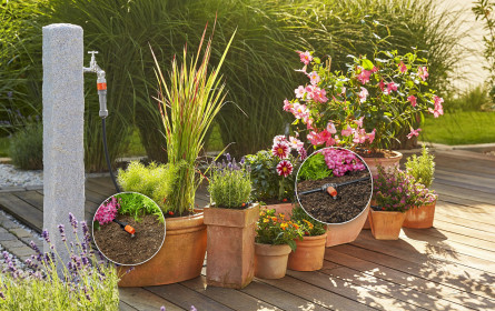 Gardena-Umfrage zum Weltwassertag