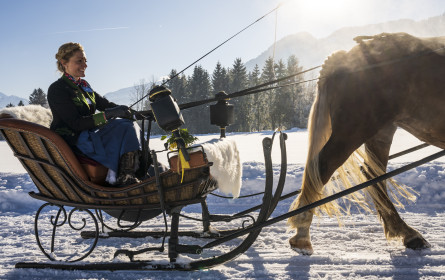 ServusTV war Februar 2025 erneut meistgesehener Privatsender Österreichs