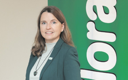 Grüne Nummer 1 setzt Standards