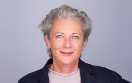 OOHA fordert Anhebung der Digitalsteuer