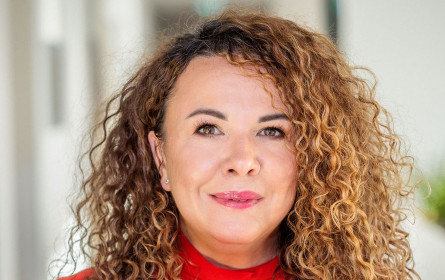 Anstieg der Firmeninsolvenzen in Österreich setzt sich 2025 fort